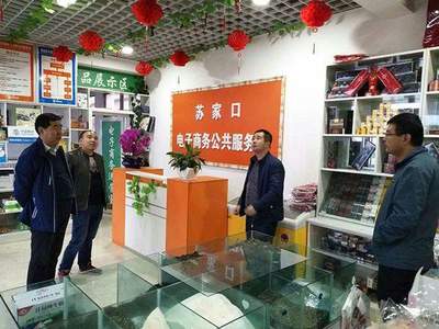 渭源縣電子商務(wù)公共服務(wù)站點(diǎn)工作檢查與指導(dǎo)總結(jié)