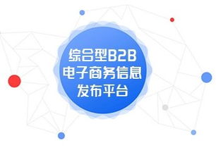 深圳英邁思 專業(yè)一站式免費電子商務(wù)B2B網(wǎng)站商務(wù)服務(wù)
